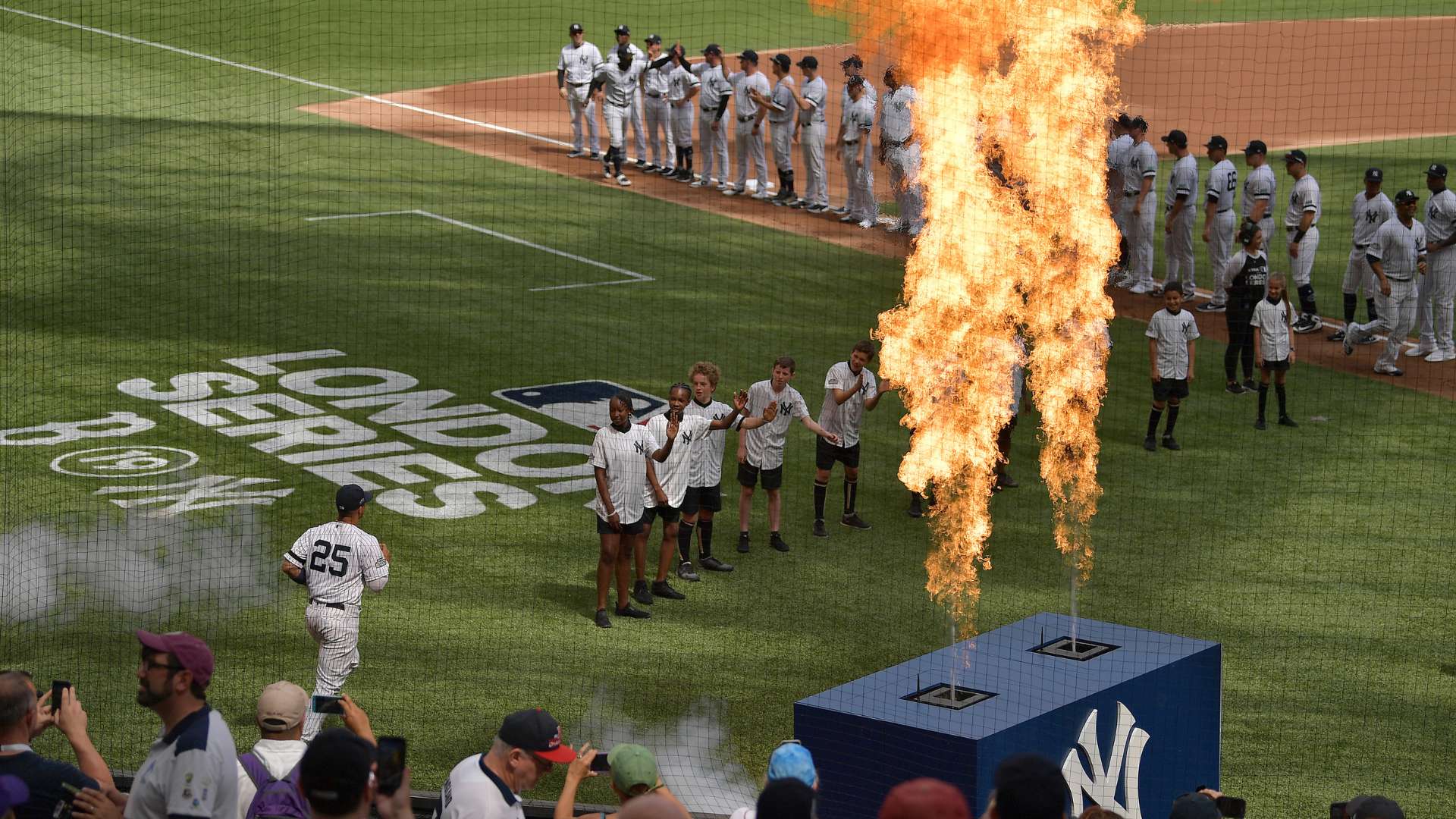 赏性十足 赏性十足